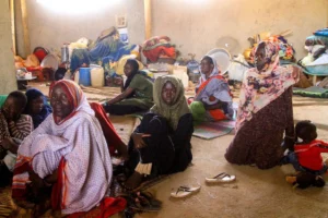 Egypt, Saudi Arabia Stress Urgency of Reaching a Humanitarian Truce in Sudan